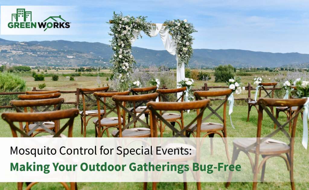Mosquito Control for Special Events