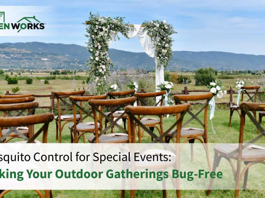 Mosquito Control for Special Events
