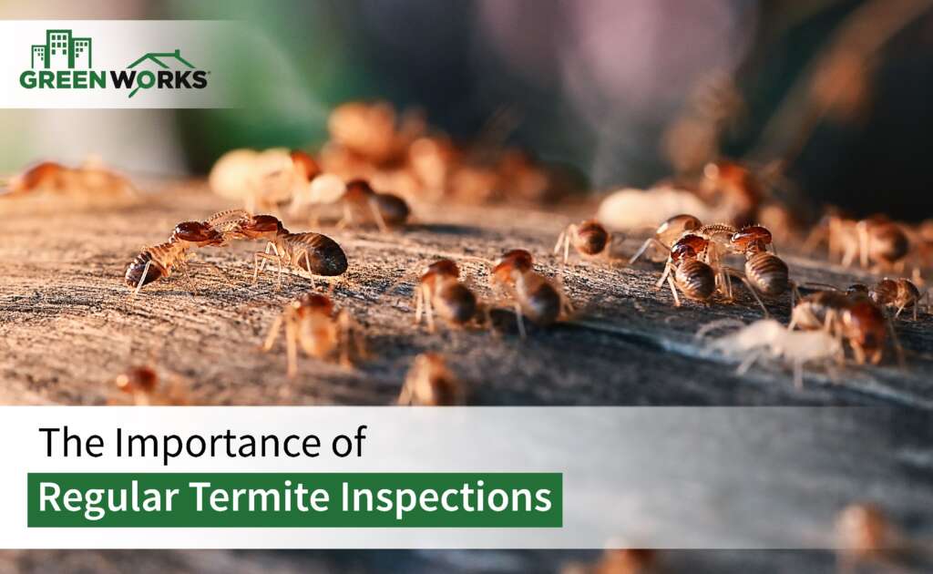 Termite Inspections
