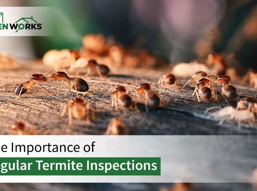 Termite Inspections