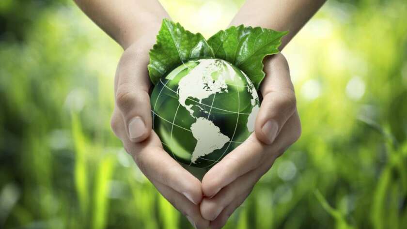 Understanding the Role of Environmental Inspections in Commercial Property Inspection