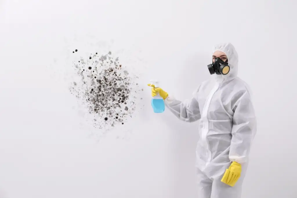 Toxic Black Mold vs Black Mold