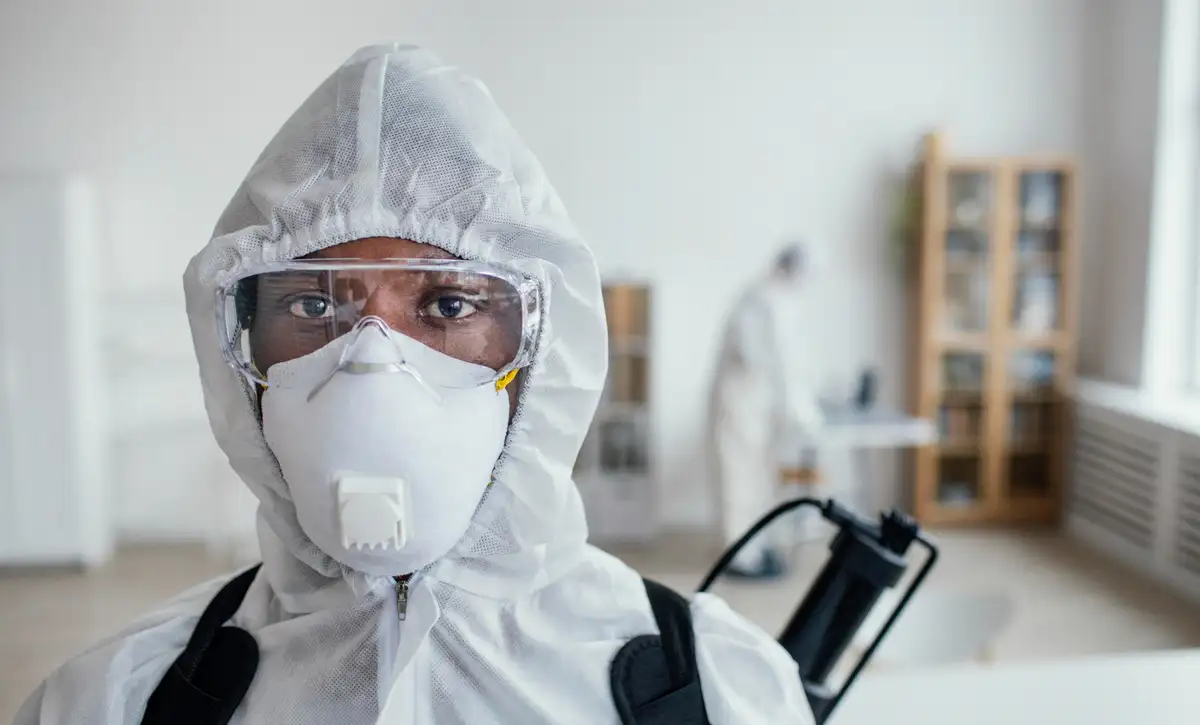 mold inspection