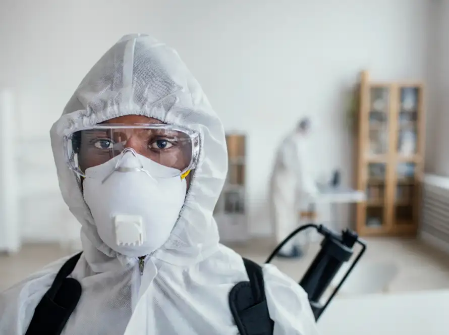 mold inspection