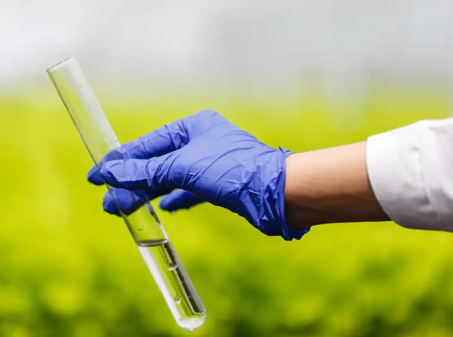 Water quality assessments